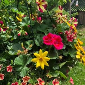 Meet your Posher, Sheilagh